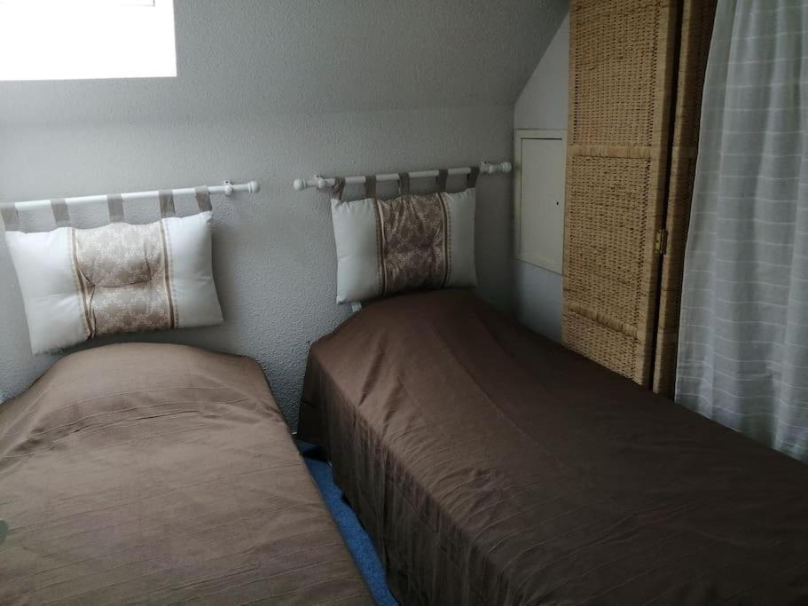 Appartement Parking Gratuit Navette Telecabines Week End コテレ エクステリア 写真